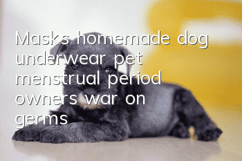 Masks, homemade dog underwear, pet menstrual period owner's war on germs