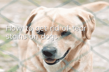 How to get rid of tear stains on dogs