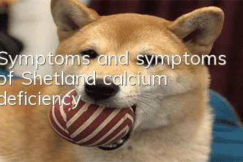 Symptoms and symptoms of Shetland calcium deficiency