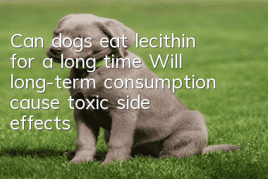 Can dogs eat lecithin for a long time? Will long-term consumption cause toxic side effects?