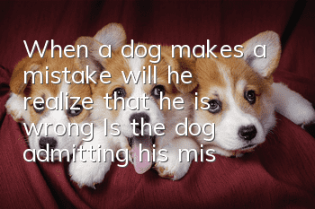 When a dog makes a mistake, will he realize that he is wrong? Is the dog admitting his mistake by not looking at his owner?