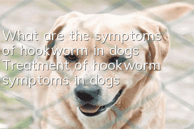 What are the symptoms of hookworm in dogs? Treatment of hookworm symptoms in dogs!