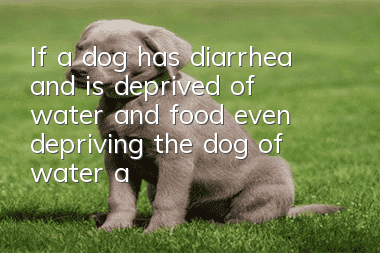 If a dog has diarrhea and is deprived of water and food, even depriving the dog of water and food cannot solve the fundamental problem!