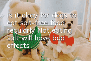 Is it okay for dogs to eat salt-free food regularly? Not eating salt will have bad effects