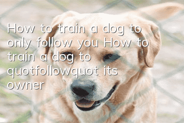 How to train a dog to only follow you How to train a dog to "follow" its owner