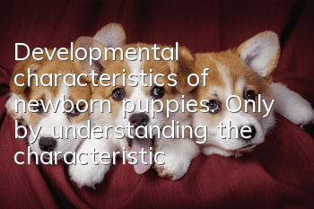 Developmental characteristics of newborn puppies. Only by understanding the characteristics can you better raise dogs.