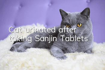 Cat urinated after taking Sanjin Tablets