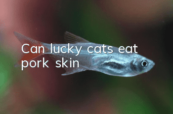 Can lucky cats eat pork skin?