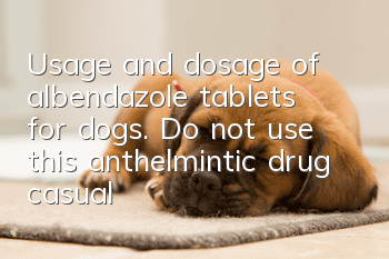 Usage and dosage of albendazole tablets for dogs. Do not use this anthelmintic drug casually.