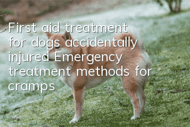 First aid treatment for dogs accidentally injured Emergency treatment methods for cramps, burns, pinches, etc.