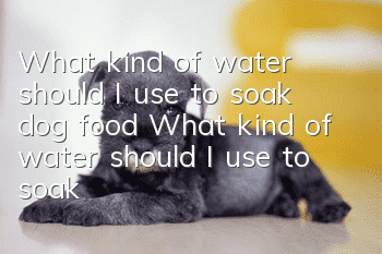 What kind of water should I use to soak dog food? What kind of water should I use to soak dog food? Boiling, warm or cold water?