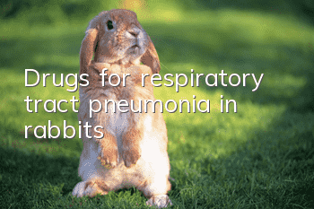 Drugs for respiratory tract pneumonia in rabbits