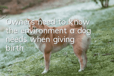 Owners need to know the environment a dog needs when giving birth