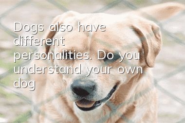 Dogs also have different personalities. Do you understand your own dog?