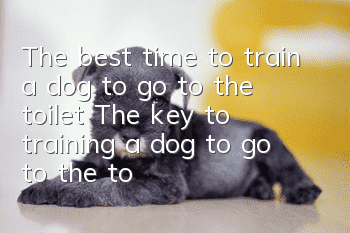 The best time to train a dog to go to the toilet The key to training a dog to go to the toilet at a fixed point