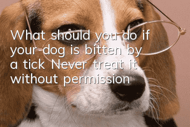 What should you do if your dog is bitten by a tick? Never treat it without permission