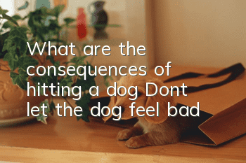 What are the consequences of hitting a dog? Don’t let the dog feel bad!