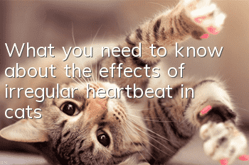 What you need to know about the effects of irregular heartbeat in cats!