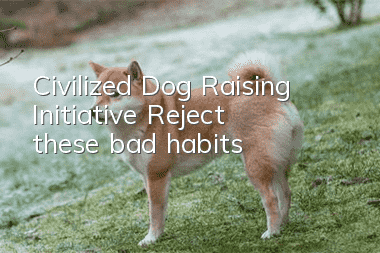 Civilized Dog Raising Initiative: Reject these bad habits