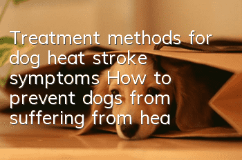 Treatment methods for dog heat stroke symptoms How to prevent dogs from suffering from heat stroke in summer