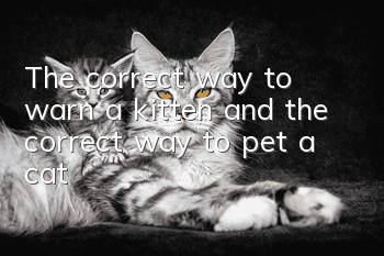 The correct way to warn a kitten and the correct way to pet a cat!