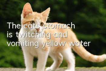 The cat's stomach is twitching and vomiting yellow water