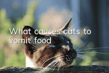 What causes cats to vomit food?