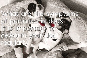 What are the symptoms of parasites in dogs? It is important to deworm your dog regularly