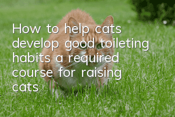 How to help cats develop good toileting habits, a required course for raising cats!