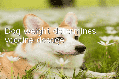 Dog weight determines vaccine dosage