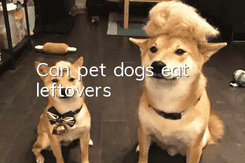 Can pet dogs eat leftovers?