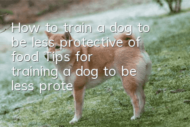 How to train a dog to be less protective of food? Tips for training a dog to be less protective of food!