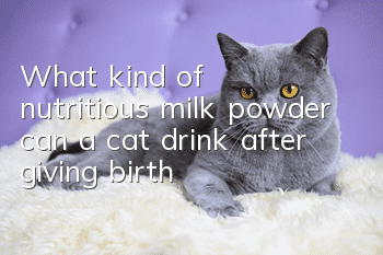 What kind of nutritious milk powder can a cat drink after giving birth?