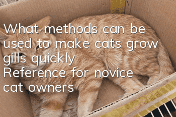 What methods can be used to make cats grow gills quickly? Reference for novice cat owners!