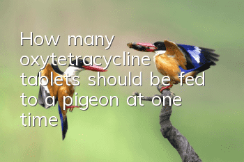 How many oxytetracycline tablets should be fed to a pigeon at one time?