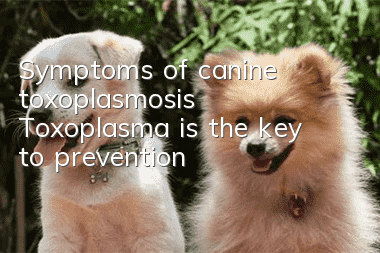 Symptoms of canine toxoplasmosis Toxoplasma is the key to prevention