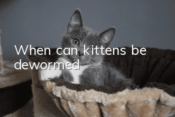 When can kittens be dewormed?