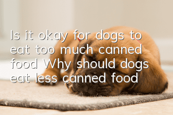 Is it okay for dogs to eat too much canned food? Why should dogs eat less canned food?