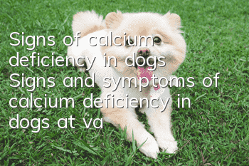 Signs of calcium deficiency in dogs Signs and symptoms of calcium deficiency in dogs at various stages