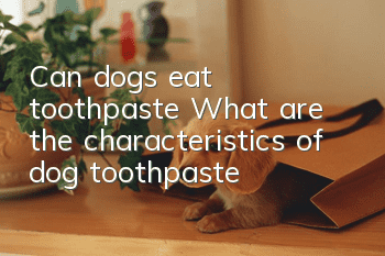 Can dogs eat toothpaste? What are the characteristics of dog toothpaste?