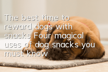 The best time to reward dogs with snacks Four magical uses of dog snacks you must know