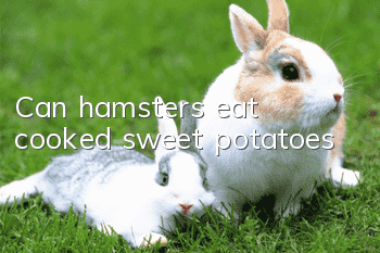 Can hamsters eat cooked sweet potatoes?