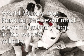 World Military Dog Ranking The seven most powerful military dogs in the world’s military