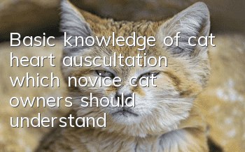 Basic knowledge of cat heart auscultation, which novice cat owners should understand!