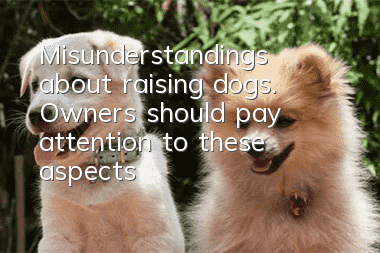 Misunderstandings about raising dogs. Owners should pay attention to these aspects