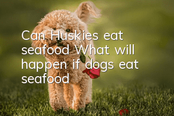 Can Huskies eat seafood? What will happen if dogs eat seafood?