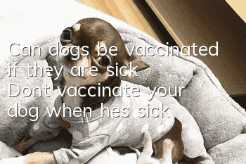 Can dogs be vaccinated if they are sick? Don’t vaccinate your dog when he’s sick