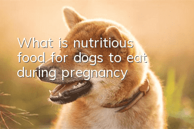 What is nutritious food for dogs to eat during pregnancy?