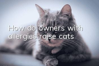 How do owners with allergies raise cats?