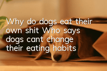 Why do dogs eat their own shit? Who says dogs can’t change their eating habits?